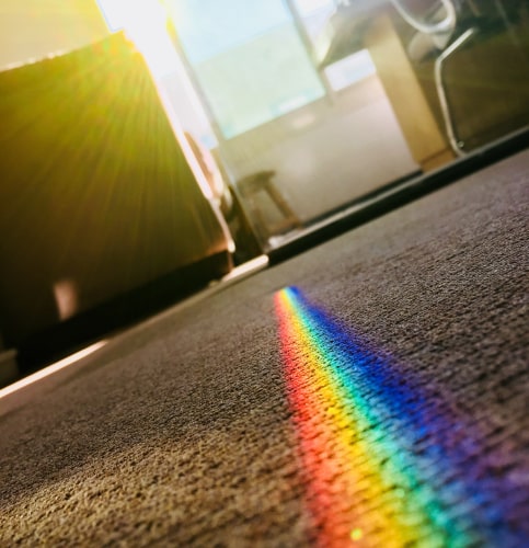 clean carpet